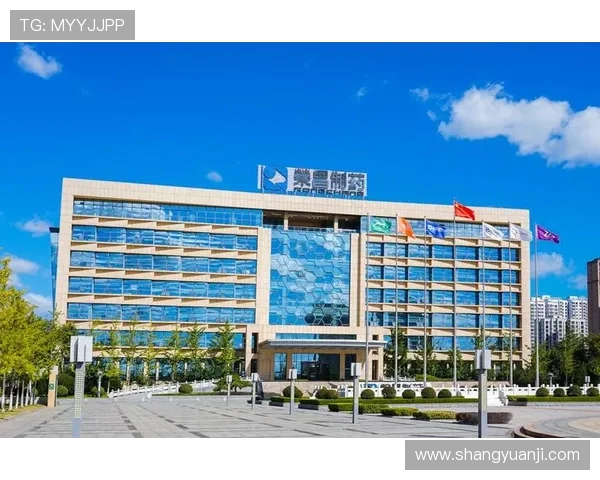 凯发k8国际一触即发,最新优惠活动与注册流程详细指南